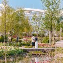 응봉개나리어린이공원 이미지