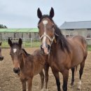 봉봉슈퍼 이미지