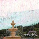 구로-현장-구로-578 | 용인 자작나무숲 입장료 정리
