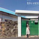 로시1978 | 제주 종달리 돌담 독채민박 에어비앤비 로시1978 솔직후기