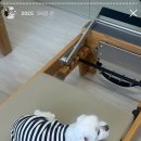 무브유필라테스 - 목포시 연산백련로7번길 2-9 | 무브유필라테스