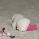 코코바코 | 1월 끝자락, 소소한 행복 즐기기
