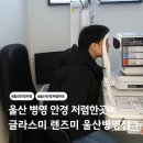 렌즈미안경콘텍트 | 울산 병영 글라스미 렌즈미 울산병영점 울산 가성비 안경 추천 후기