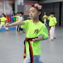 브레인 박사 태권도장 이미지