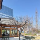 카페오후 | 김포 석모리 한옥카페 푸른한옥 평일 오후 방문 후기