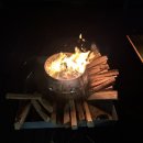 영월 고기조개 이미지