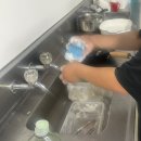 뉴질랜드 워홀 ⑦ 2월 일상 | 키위팩하우스 워크인, 남섬 로드트립, 블레넘, 오아마루, 펭귄, 왕과 사는...