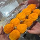 🍊 레드향 🍇 애플청포도 🍓 진주수곡 금실딸기 🍊 고당도 타이벡 귤 🍅 대추방울토마토 🫐 블루베리 🍁 대봉 반건시 🍅 완 이미지