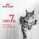 로얄종합관리 이미지