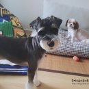 남현우동물병원 이미지