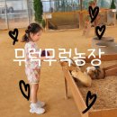 농장 | 용인 처인구 아이랑 실내 동물 먹이주기 체험 무럭무럭농장 다녀온 후기