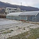 옥천면사무소 이미지