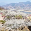 광양매화문화관 이미지