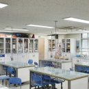 양재초등학교 이미지