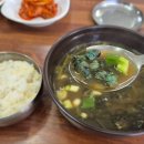 충주 맛집, 운정 식당 충주 터미널 근처 올갱이 해장국의 찐 맛집
