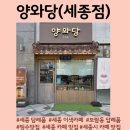정성가득 마음담긴 보자기 아트 | 세종 이색카페 정성가득 디저트 맛집 양와당 세종점 후기 🍧
