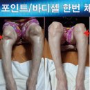 셀다이어트