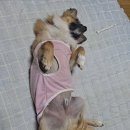 시호천약수터 이미지