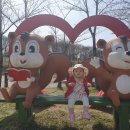 나무고아원A 이미지