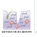 센스화장품 - 안동시 번영길 31 | 센스화장품