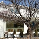 호국로1539번길 | 고양시 덕양구 애견동반 카페 노만주의｜야외테라스 감성카페 🌳