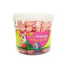 스타덴탈2 이미지