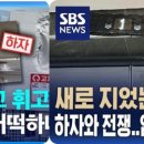 디아너스 이미지