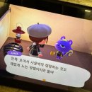 서강프라자 | 겨울 대방어 맛집 보따리 풉니다 (일상)