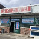 용성초장집
