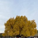 반계초등학교 병설유치원 이미지