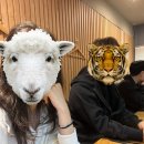 모범운전자회 옆 | [내돈내산] 1년넘게 매주 가고 있는 인생우동, 구리시맛집 '우동 키노야' 솔직후기