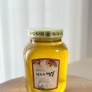 지리산골짝 Daum카페