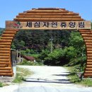 임삼로 이미지