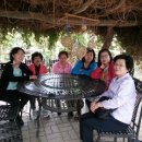 진숙목장 이미지