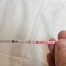 피23 | [임신일기#3] 임테기 역전 시기, 역전 안되면 문제일까 (+16~+23) 병원 초음파 후기, 피비침 후기