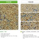 예천참기름은 임금님께 드리는 진상품이었다는 사실만으로도 그 품질의 우수성을 짐작할 수 있고, 청와대 추석 선물로도 선정되는 등 그 인기는 여전하다 이미지