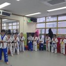 한마음 태권도장 이미지