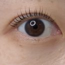 세븐일레븐 신림허브그린점 | 신림동속눈썹펌 추천 바이유뷰티 자연컬 잘하는 곳 직접 받아본 후기