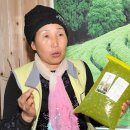 백연골발효차 이미지