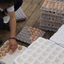 큰에덴농장 이미지