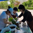 김포시농업기술센터 이미지