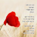 이시꾸네일 이미지