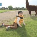 멘도롱