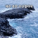 제주중문대포해안주상절리대 | 제주 주상절리대 중문대포해안, 입장료와 주차 발권 후기