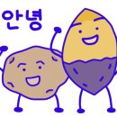 보니따카페 이미지