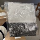 sk렌터카(주) | 제주 가볼만한곳 포도뮤지엄 <우리 이토록 작은 존재들> 전시 후기 (SK렌터카 50% 할인)