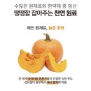 두포3 | 100%국산한방차 제로카페인 모미차먹고 이너 클렌징 한 후기^^
