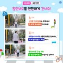 꼬꼬누리 이미지