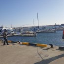 노루메기 이미지