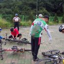 정생농장 Daum카페